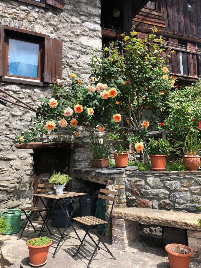 Apartament Monolocale Rustico Di Montagna Antey-Saint-André Zewnętrze zdjęcie